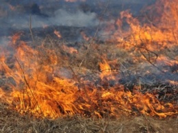 Спасателям удалось не допустить возгорания северодонецких дач