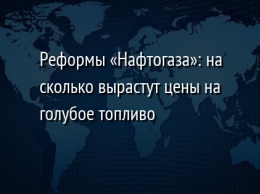 Реформы «Нафтогаза»: на сколько вырастут цены на голубое топливо