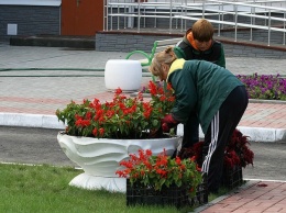 В Павлограде коммунальщики готовятся засадить 4,5 га цветами