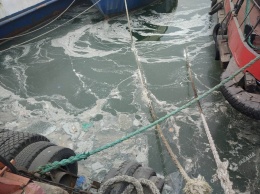 Экологи обнаружили загрязнение акватории в Одесском морском порту (фото)