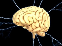 Ученые объяснили, почему мозг человека увеличился