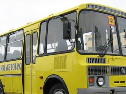 Во Львове детей в школу будут отвозить специальные автобусы