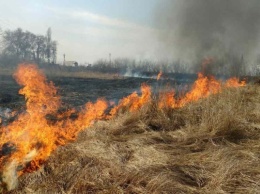 Природный пожар под Днепром: горело 30 гектаров травы