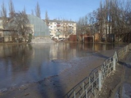 Миколаенко и Гордеева зовут на херсонский стадион для селфи (фото)