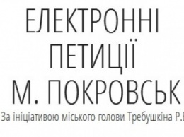 Петиция о строительстве ледового катка в Покровске набрала нужное количество подписей