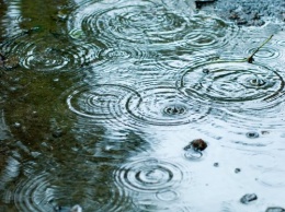 Ученые: Дождь влияет на развитие бактерий