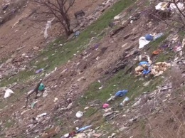 Когда в Мариуполе начнут сортировать мусор и уберут незаконные свалки?