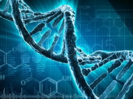 В Чувашии МВД закупит оборудование для ДНК-лабораторий