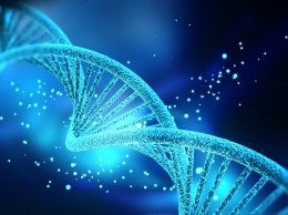 Трехмерная карта ДНК создана учеными