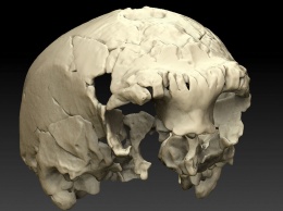 В Португалии нашли древнейший череп европейца