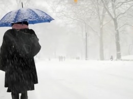 В США снежные заносы: не работают метро и школы