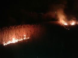 В Полтаве горят камыши на прудах (фото)