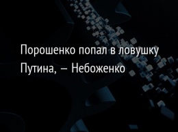 Порошенко попал в ловушку Путина, - Небоженко