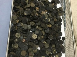Хирурги достали из черепахи 915 монет, брошенных людьми «на удачу»