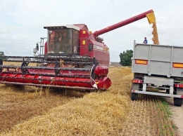 В Украине собрано свыше 36 млн. тонн зерновых
