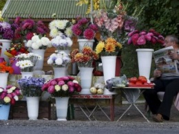 Российские власти распорядились предать огню голландские цветы
