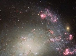 В созвездии Кита расположена спиральная галактика - NASA