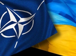 Более 60% украинцев готовы проголосовать за вступление в НАТО