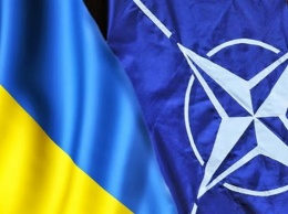 Почти две трети украинцев поддерживают вступление страны в НАТО