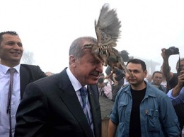 Турецкому президенту на голову села куропатка