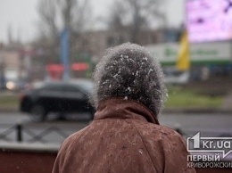 В Кривом Роге пенсионерку сын выгнал из дома