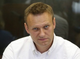 Навальный: Митинги за отставку Медведева пройдут более чем в 60 городах РФ