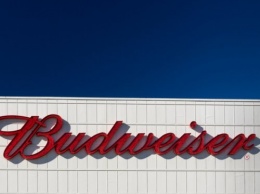 Budweiser хочет создать пивоварню на Марсе