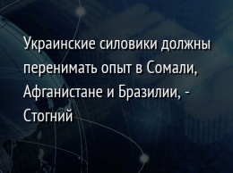 Украинские силовики должны перенимать опыт в Сомали, Афганистане и Бразилии, - Стогний