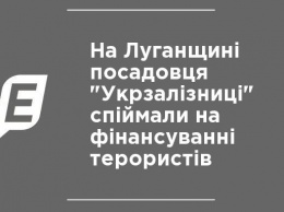 На Луганщине чиновника "Укрзализныци" поймали на финансировании террористов