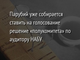 Парубий уже собирается ставить на голосование решение «полукомитета» по аудитору НАБУ