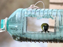 Фото кормушки для украинской птицы-прокурора развеселило соцсети