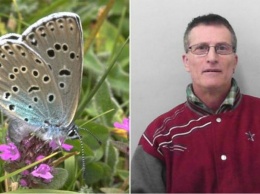 В Англии коллекционера признали виновным в убийстве редких бабочек