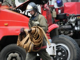В Крыма на пожаре огнеборцы спасли женщину и кота