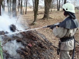 В Киевской области массовые пожары на природе