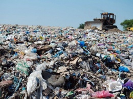 В сети появились фото "заваленного" мусором Львова