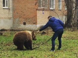 На улице в Таганроге разгуливал мужчина с медведем