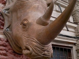 В центре Одессы появился носорог (ФОТО)