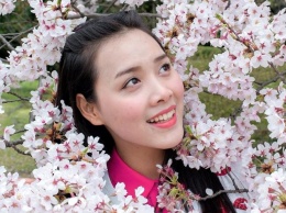 В Японии начался фестиваль цветения сакуры