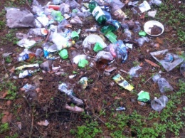 Неизвестные захламили лес в Новоодесском районе бытовым мусором