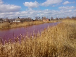В Нежине вода в озере внезапно окрасилась в ярко-розовый цвет