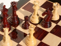 Мелитопольские шахматисты показали класс на областном чемпионате