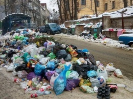 Госпродпотребслужба допускает возникновение эпидемий во Львове из-за проблемы с вывозом мусора