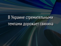 В Украине стремительными темпами дорожает свинина