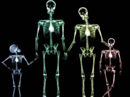 Ученые выяснили секрет формирования "тяжелой кости"