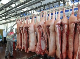 В России на 3,5% увеличилось производство свинины и на 8% - птицы