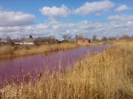 В Черниговской области появилось розовое озеро