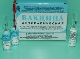 Кременчуг готов купить вакцину против бешенства за бюджетные средства, однако в Украине она не продается
