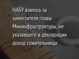 НАБУ взялось за заместителя главы Мининфраструктуры, не указавшего в декларации доход сожительницы