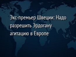 Экс-премьер Швеции: Надо разрешить Эрдогану агитацию в Европе