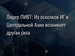 Лидер ПИВТ: Из осколков ИГ в Центральной Азии возникнет другая сила